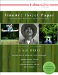 Bamboo 290 gsm 17" x 22"  20 Sheets