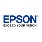 Complete set of 11 inks for the Epson 4900 Printer (200 mils each)