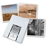 5.25 in. x 5.25 in. MuseoÂ® Artist Cards Sets (24 Sets)