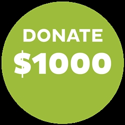 Donate $1,000 and SUPPORT HURRICANE RELIEF
