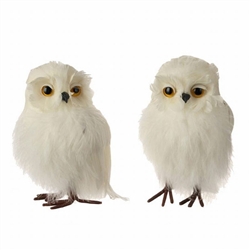 RAZ IMPORTS 5" WHITE FEATHERED OWL (SET OF 12)