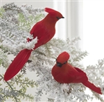 RAZ IMPORTS 7" CLIP-ON CARDINAL ORNAMENT (SET OF 12)
