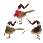 RAZ 10" FEATHERED BIRD (SET OF 12)